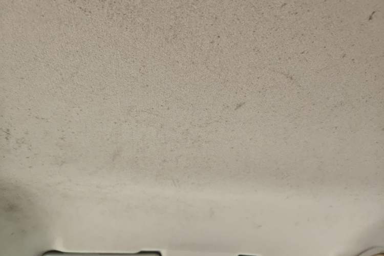 Used FORTHING Joyear X3 2015 1.5L Comfort Model Headliner