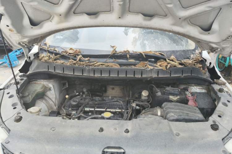 Used FORTHING Joyear X3 2015 1.5L Comfort Model Engine Bay