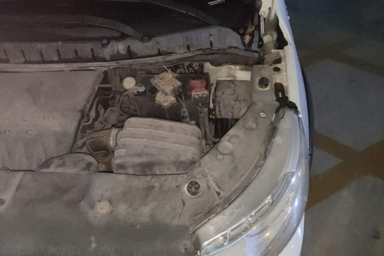 Used FORTHING Joyear X3 2015 1.5L Luxury Model Engine Bay Left