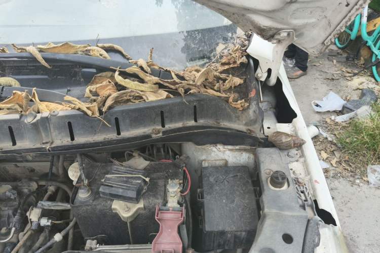 Used FORTHING Joyear X3 2015 1.5L Comfort Model Engine Bay Left