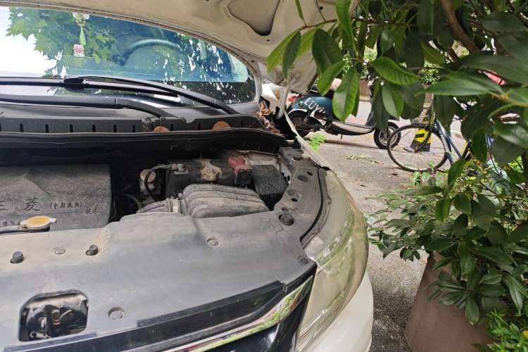 Used FORTHING Joyear X3 2015 1.5L Luxury Model Engine Bay Left