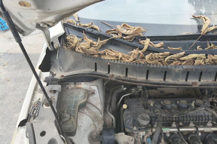 Used FORTHING Joyear X3 2015 1.5L Comfort Model Engine Bay Right