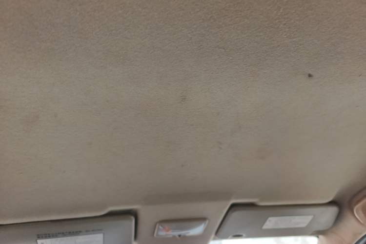 Used FORTHING Joyear X3 2015 1.5L Comfort Model Headliner