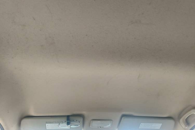 Used FORTHING Joyear X3 2015 1.5L Comfort Model Headliner