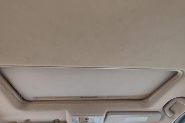 Used FORTHING Joyear X3 2015 1.5L Luxury Model Headliner