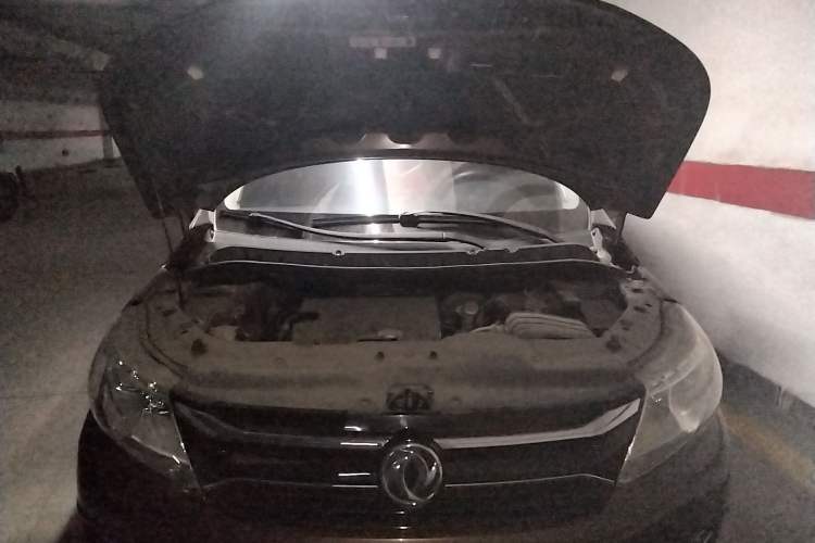 Used FORTHING Joyear X3 2016 1.5L Luxury Model Engine Bay