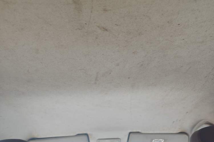Used FORTHING Joyear X3 2016 1.5L Comfort Model Headliner