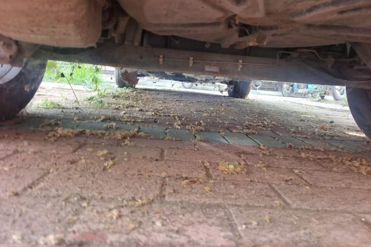 Used FORTHING Joyear X3 2016 1.5L Comfort Model Chassis Rear
