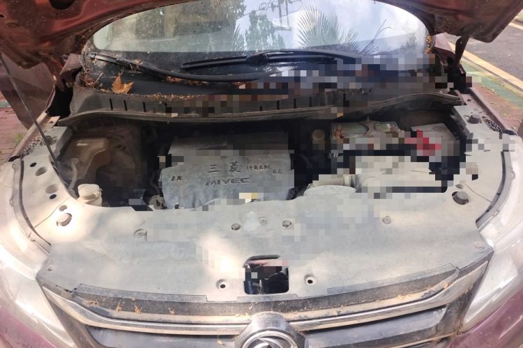 Used FORTHING Joyear X3 2016 1.5L Comfort Model Engine Bay