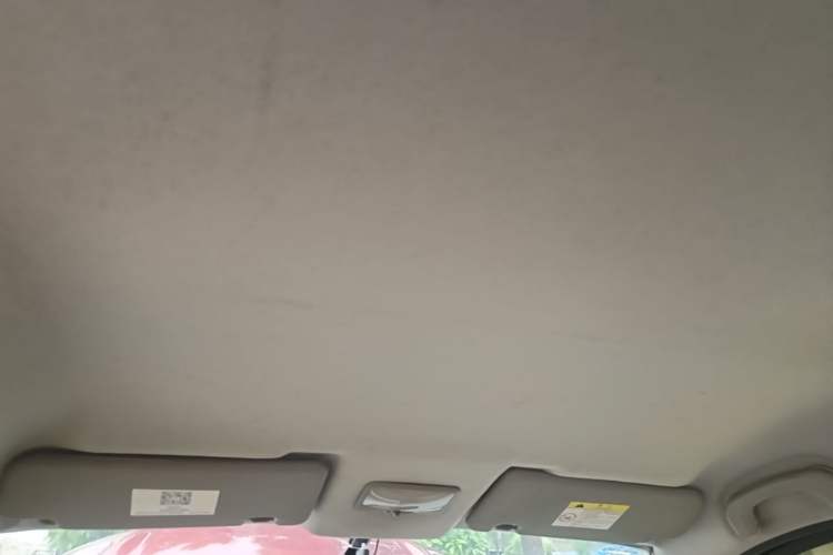Used FORTHING Joyear X3 2016 1.5L Comfort Model Headliner