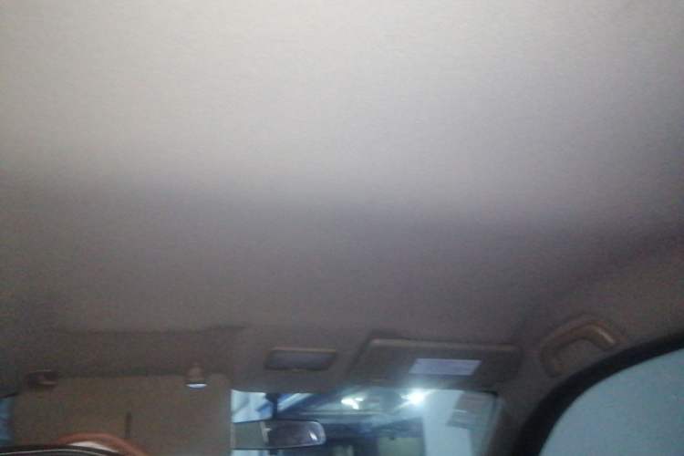Used FORTHING Joyear X3 2016 1.5L Comfort Model Headliner