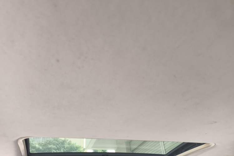Used FORTHING Joyear X3 2016 1.5L Luxury Model Headliner