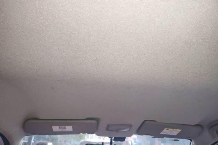 Used FORTHING Joyear X3 2016 1.5L Comfort Model Headliner