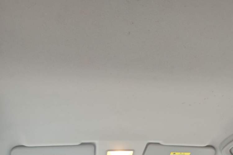 Used FORTHING Joyear X3 2016 1.5L Comfort Model Headliner