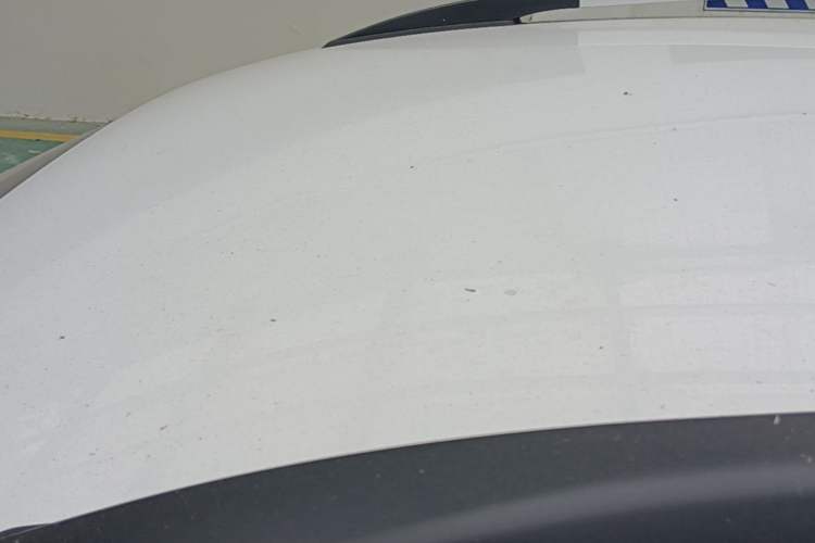 Used FORTHING Joyear X3 2016 1.5L Comfort Model Roof
