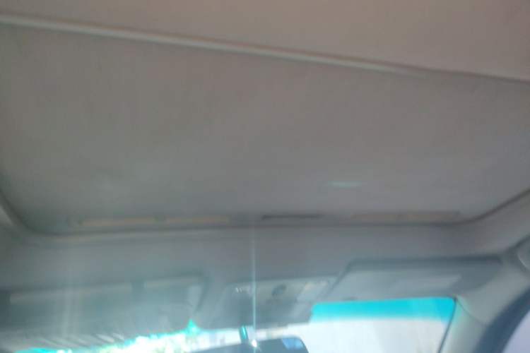 Used FORTHING Joyear X5 2013 1.8T Manual Luxury Model Headliner