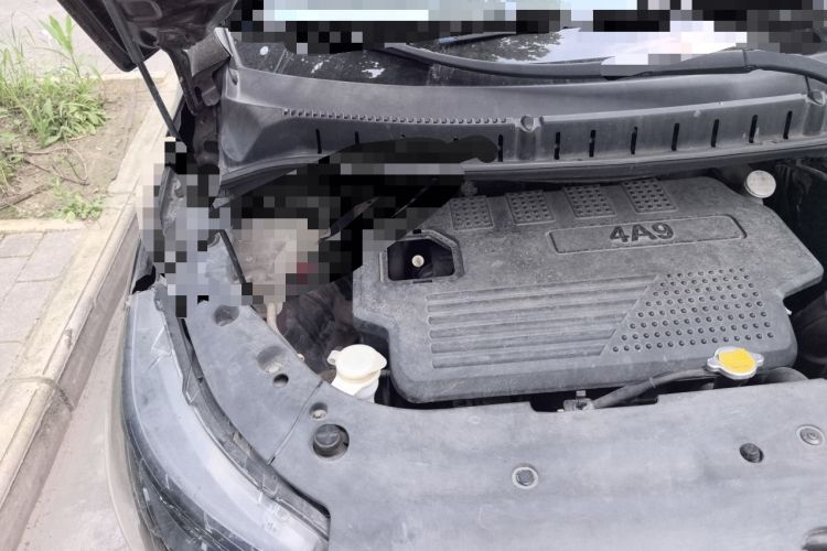 Used FORTHING Joyear X5 2013 1.6L Manual Luxury Model Engine Bay Right