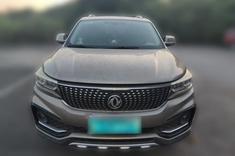 Used FORTHING Joyear X5 2017 1.6L Manual Luxury Model Front
