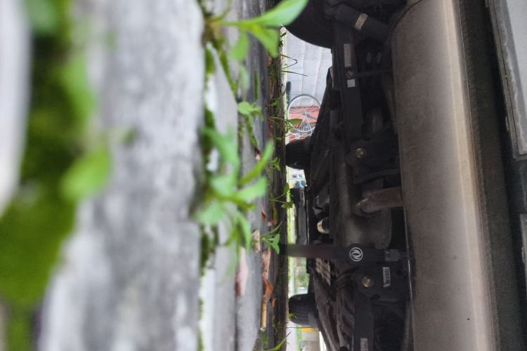 Used FORTHING Joyear X5 2017 1.6L Manual Luxury Model Chassis Rear