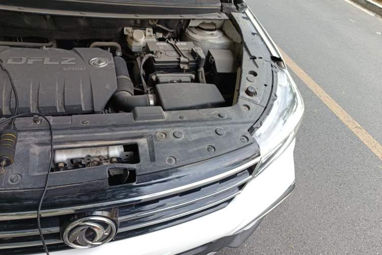 Used FORTHING Joyear X5 2017 Jingxiang Series 1.5T CVT Luxury Model Engine Bay Left