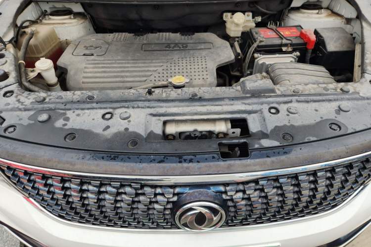 Used FORTHING Joyear X5 2017 1.6L CVT Luxury Model Engine Bay