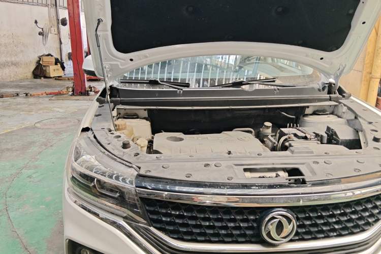 Used FORTHING Joyear X5  Engine Bay Right