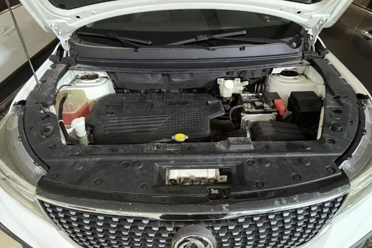 Used FORTHING Joyear X5 2017 1.6L Manual Luxury Model Engine Bay