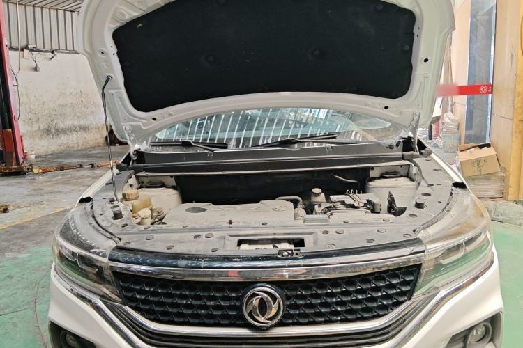 Used FORTHING Joyear X5  Engine Bay