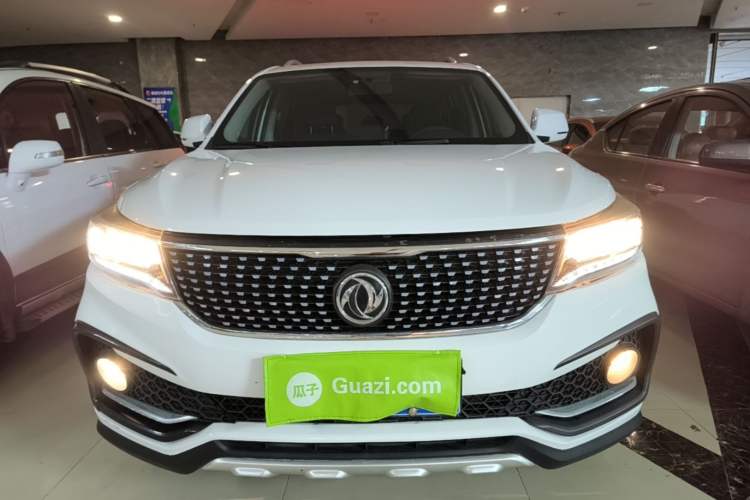 Used FORTHING Joyear X5 2017 1.6L Manual Luxury Model Front