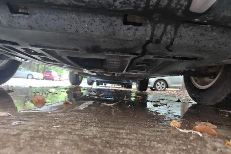 Used FORTHING Joyear XV 2015 1.6L CVT Comfort Model Chassis Front