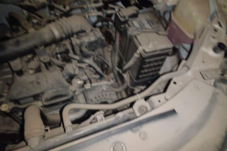 Used FORTHING Lingzhi 2020 M5L 1.6L Utility Model Engine Bay Left