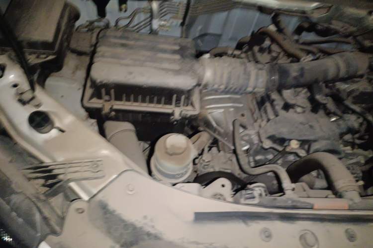 Used FORTHING Lingzhi 2020 M5L 1.6L Utility Model Engine Bay Right