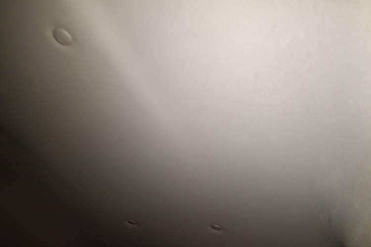 Used FORTHING Lingzhi 2020 M5L 1.6L Utility Model Headliner