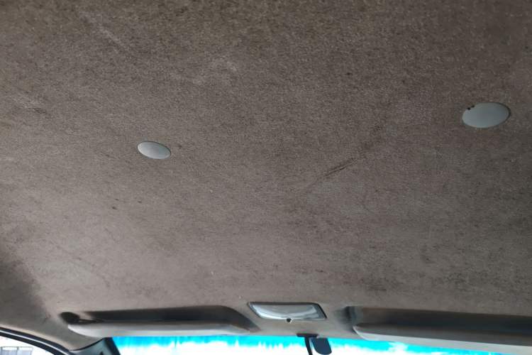 Used FORTHING Lingzhi 2010 2.0L CMV 4G63 Headliner