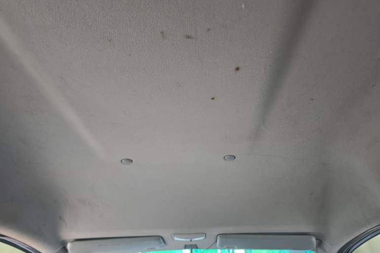 Used FORTHING Lingzhi 2014 M3 1.6L 7-Seater Comfort Model Headliner