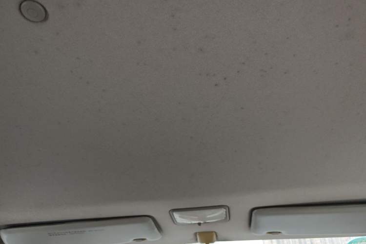 Used FORTHING Lingzhi 2014 M3 1.6L 7-Seater Comfort Model Headliner