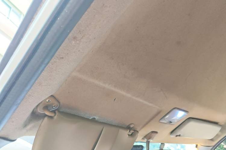 Used FORTHING Lingzhi 2014 M3 1.6L 7-Seater Comfort Model Headliner
