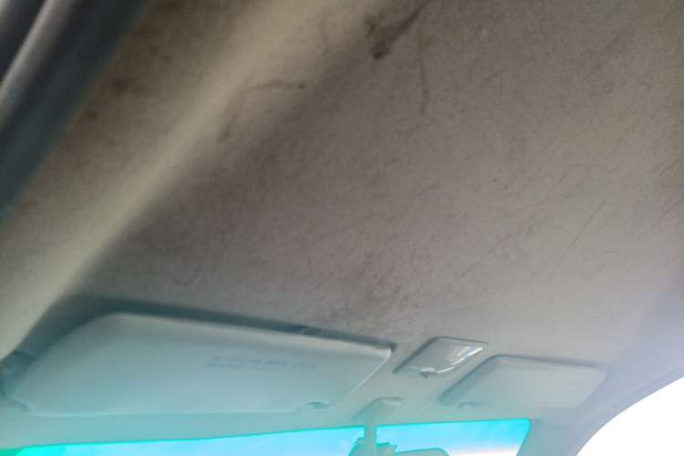 Used FORTHING Lingzhi  Headliner