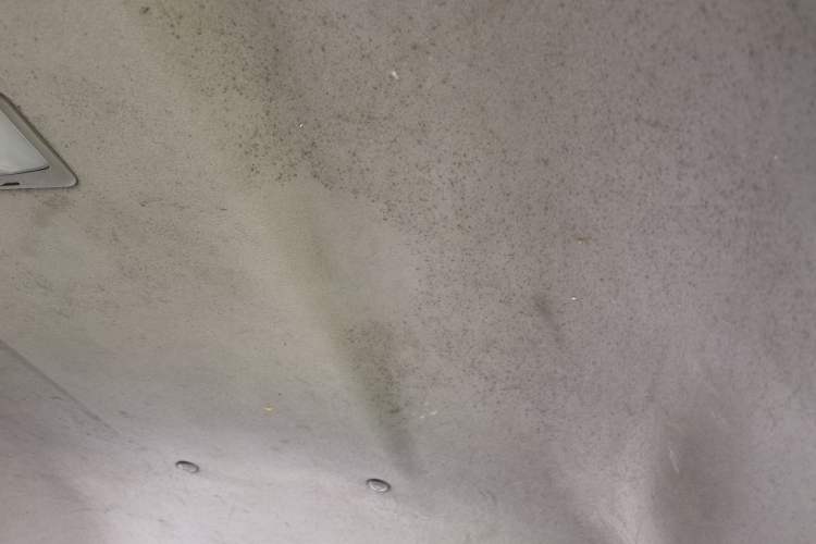 Used FORTHING Lingzhi 2014 V3 1.5L 7-Seater Standard Model II Headliner
