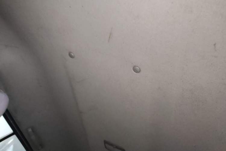 Used FORTHING Lingzhi 2014 V3 1.5L 7-Seater Standard Model II Headliner
