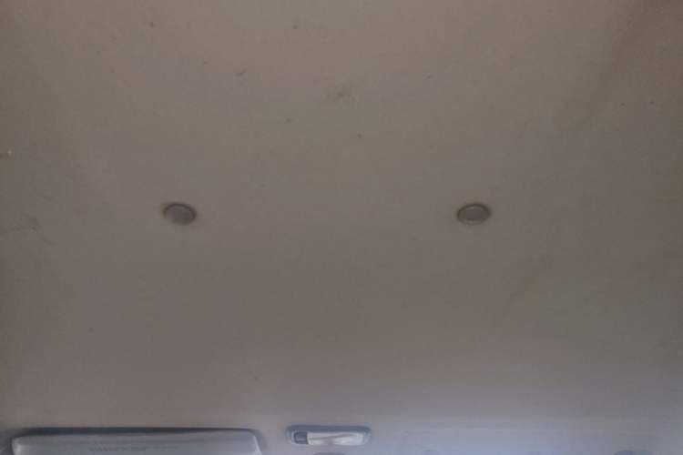 Used FORTHING Lingzhi 2015 V3 1.5L 7-seat Standard Model Headliner