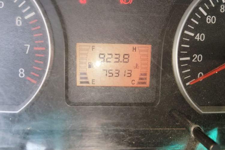 Used FORTHING Lingzhi  Odometer Close Up