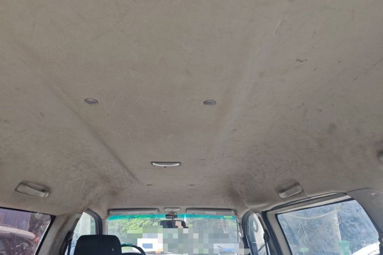 Used FORTHING Lingzhi  Headliner