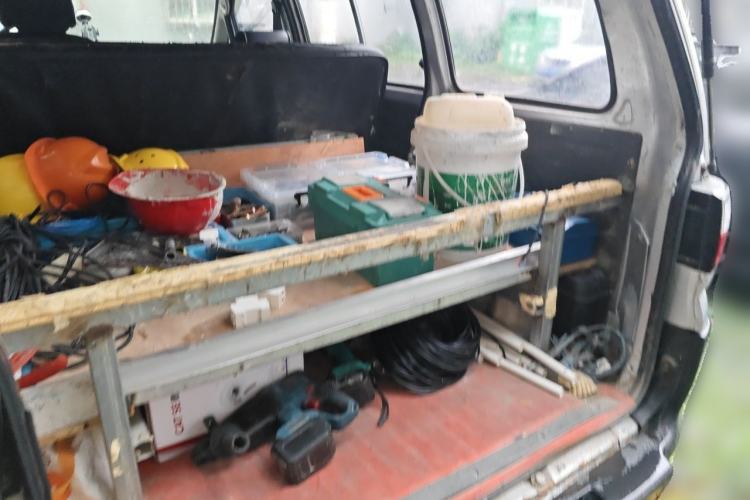 Used FORTHING Lingzhi  Trunk
