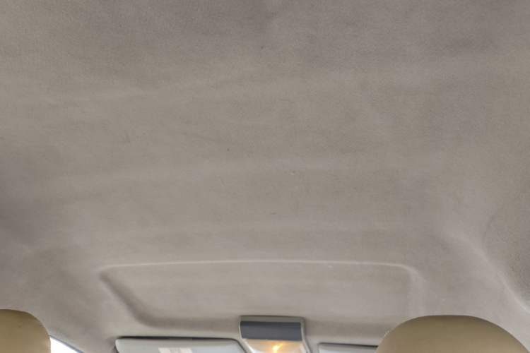 Used FORTHING Lingzhi 2016 M3L 1.6L 7-Seater Comfort Model Headliner