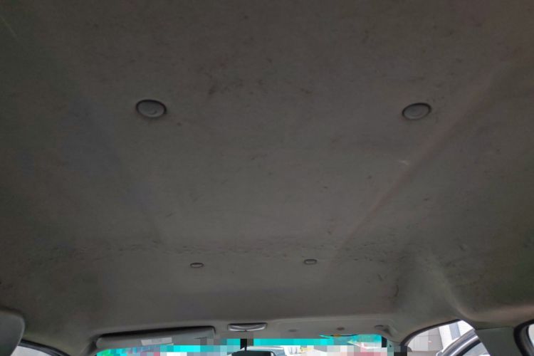 Used FORTHING Lingzhi 2016 M3L 1.6L 7-Seater Standard Model Headliner