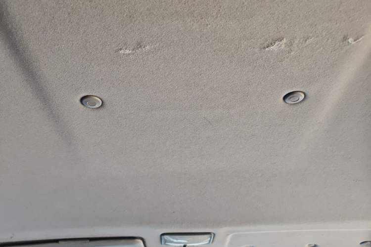 Used FORTHING Lingzhi 2016 M3L 1.6L 7-Seater Standard Model Headliner