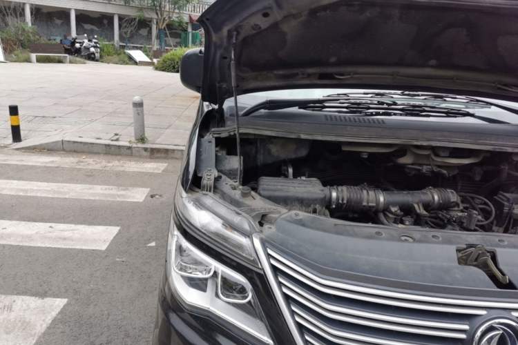 Used FORTHING Lingzhi 2017 M5L 1.6L 7-Seater Standard Model Engine Bay Right