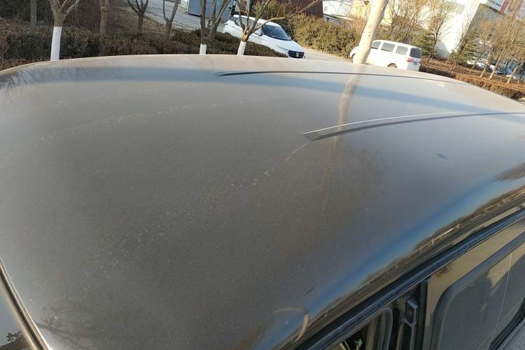 Used FORTHING Lingzhi 2017 M5L 1.6L 7-Seater Standard Model Roof