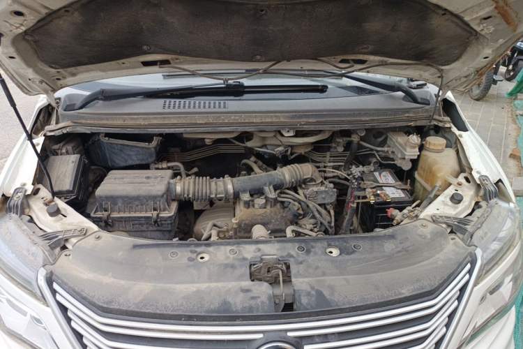 Used FORTHING Lingzhi 2017 M5 1.6L Luxury Model Engine Bay